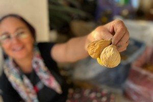 Kuru İncir Nasıl Muhafaza Edilmeli?
