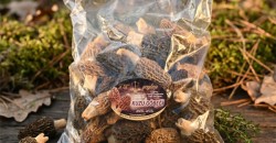 Kuzu Göbeği Mantarı Nedir? Faydaları, Kullanımı ve Organik Ürün Seçimi