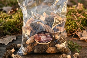 Kuzu Göbeği Mantarı Nedir? Faydaları, Kullanımı ve Organik Ürün Seçimi